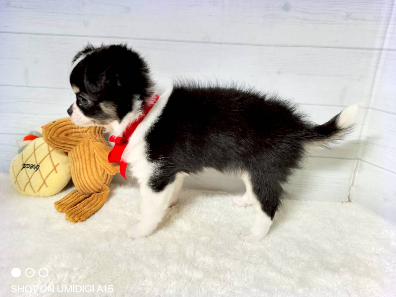 赤ちゃん写真3-2