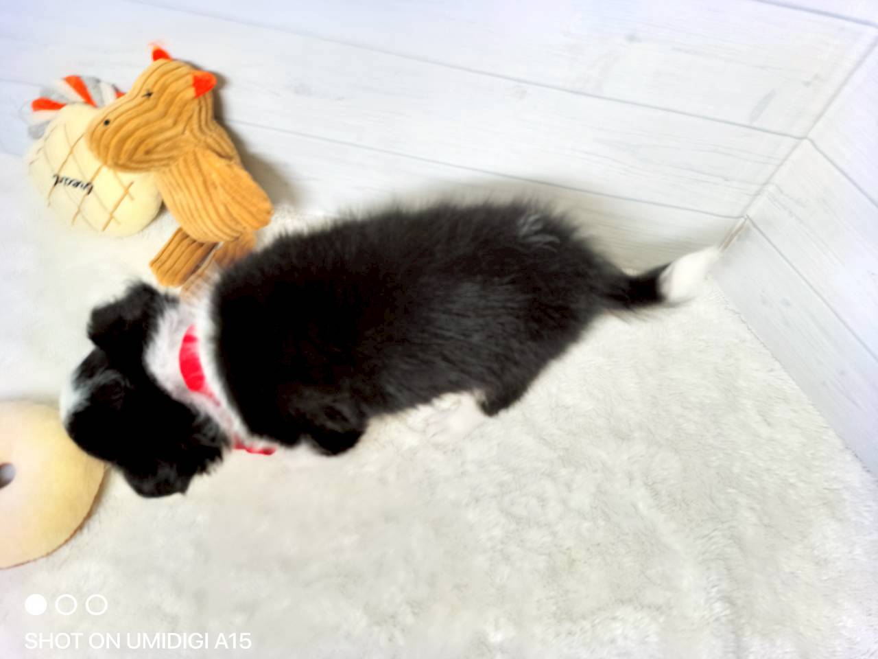 赤ちゃん写真3-3