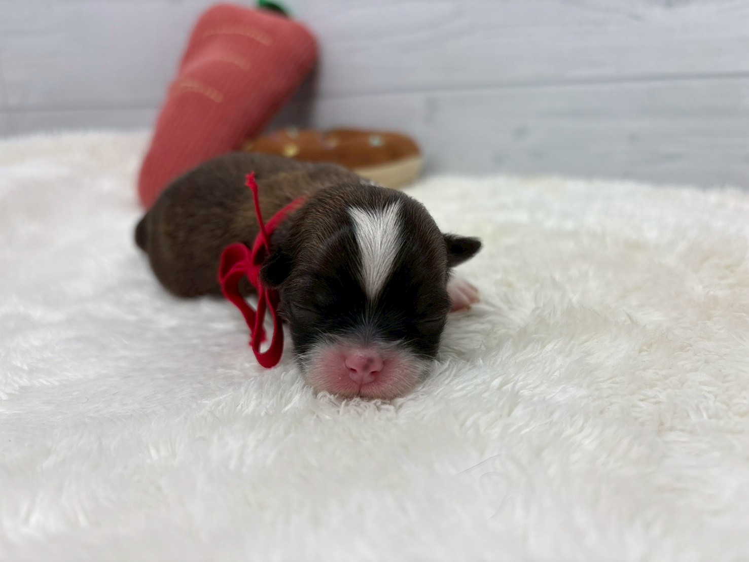 赤ちゃん写真1-1