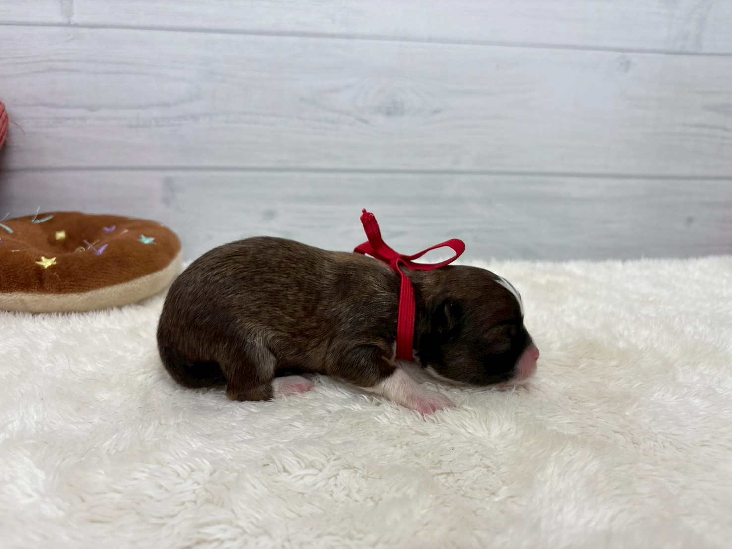 赤ちゃん写真1-2