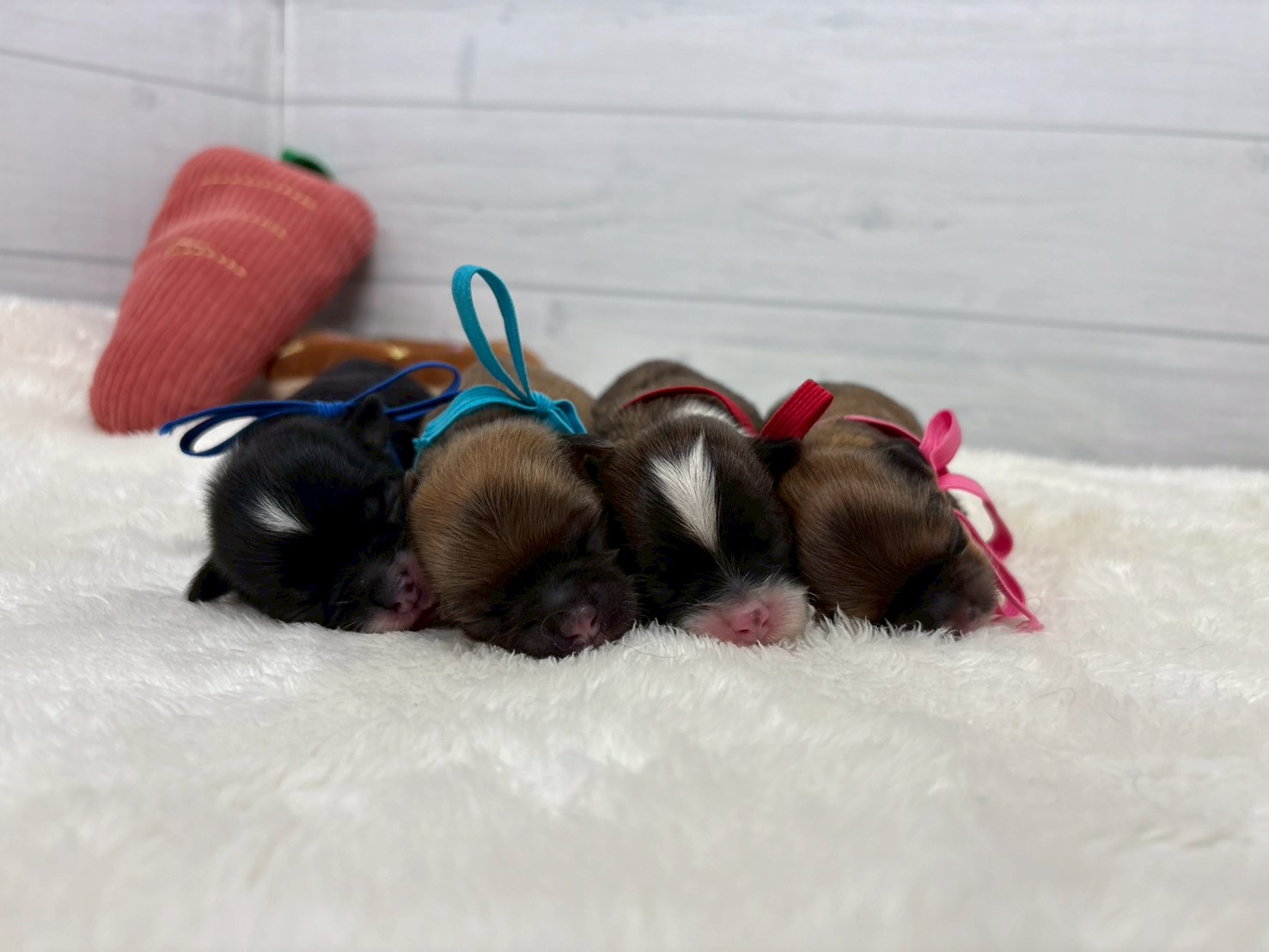 赤ちゃん写真1-3