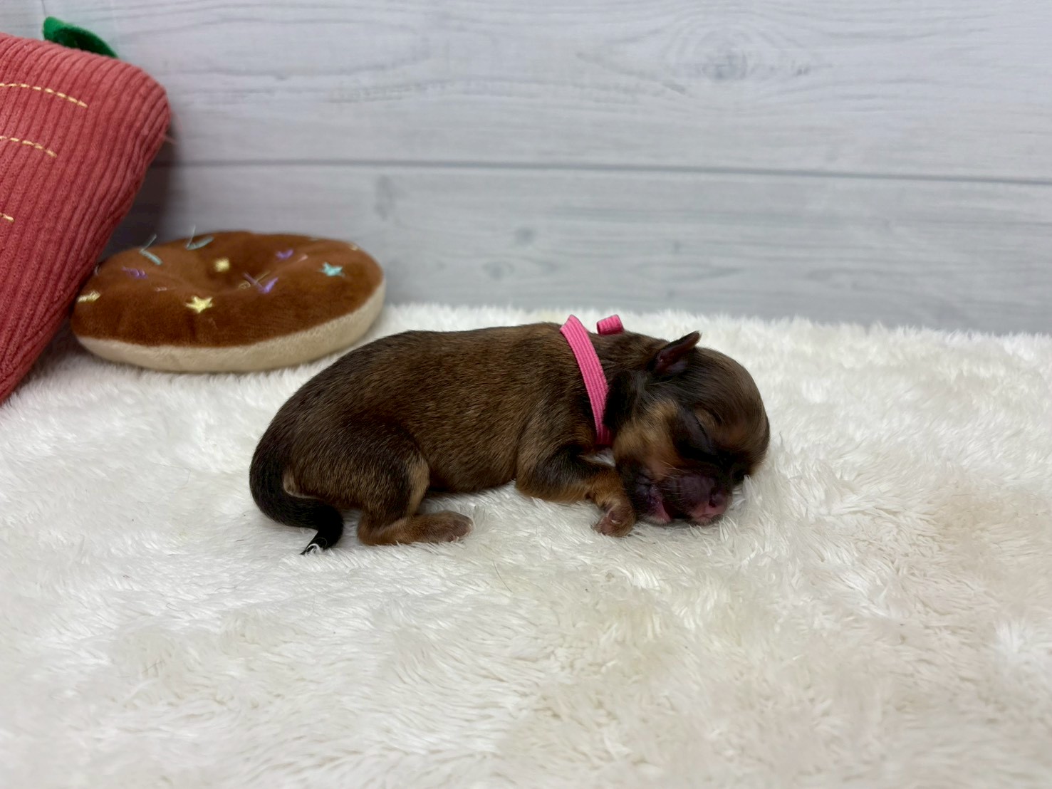 赤ちゃん写真1-2