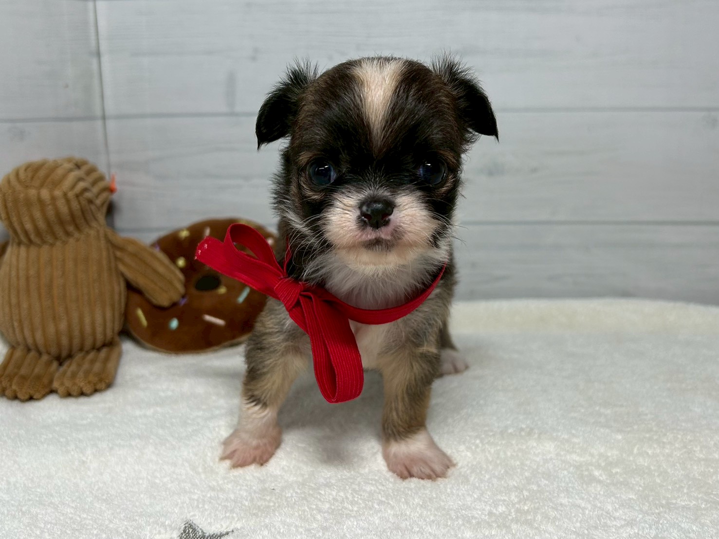 赤ちゃん写真2-1