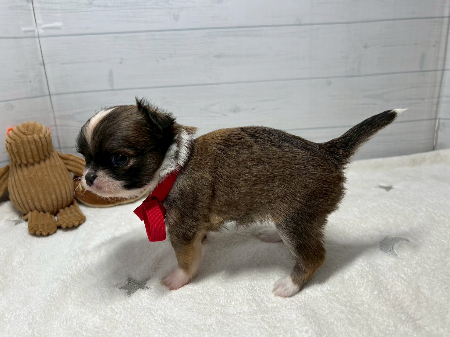 赤ちゃん写真2-2