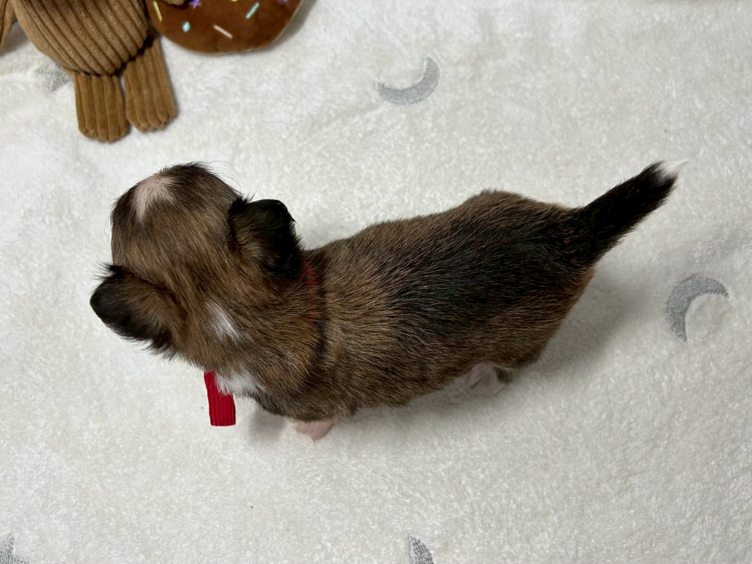 赤ちゃん写真2-3