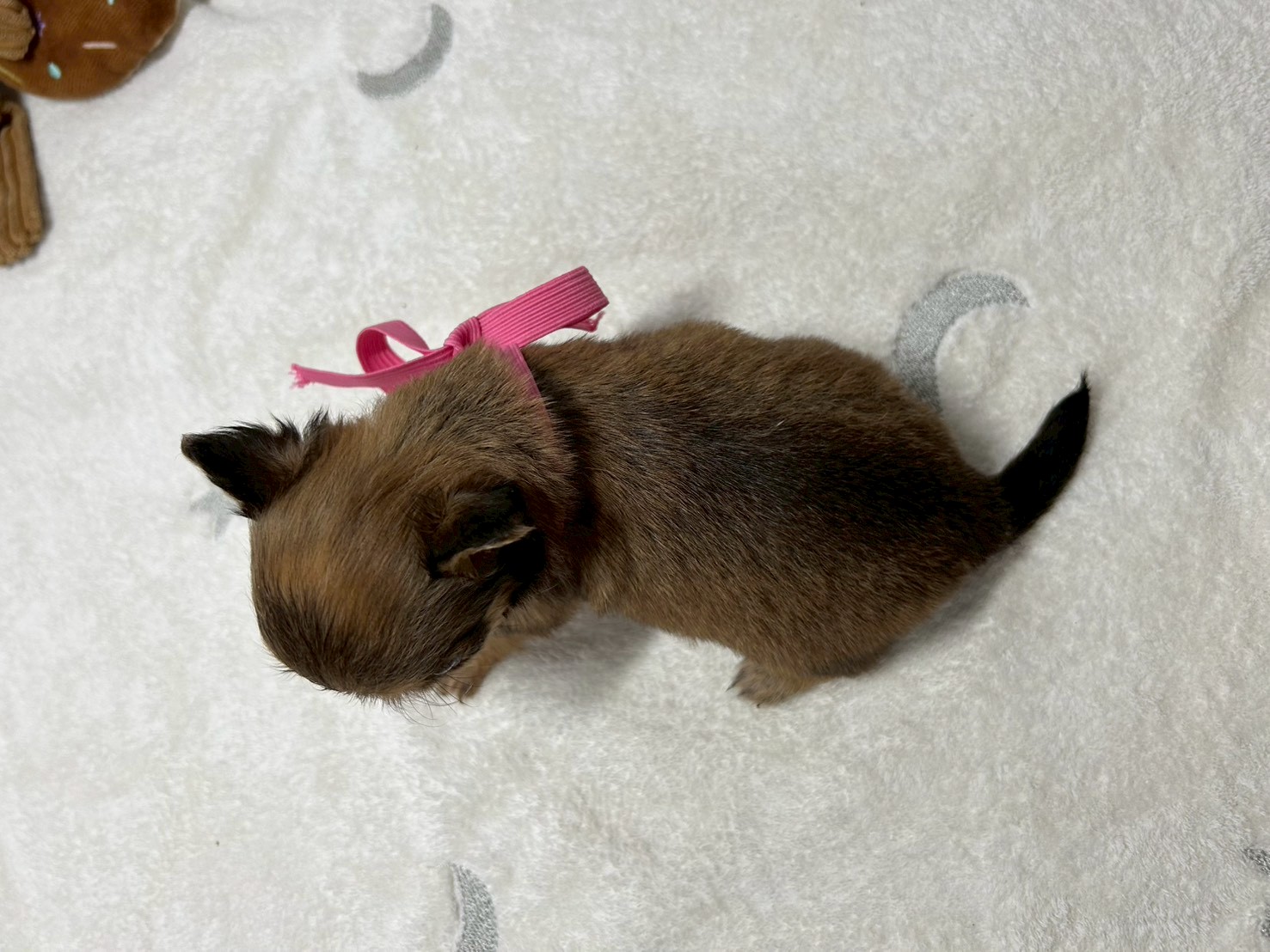 赤ちゃん写真2-3