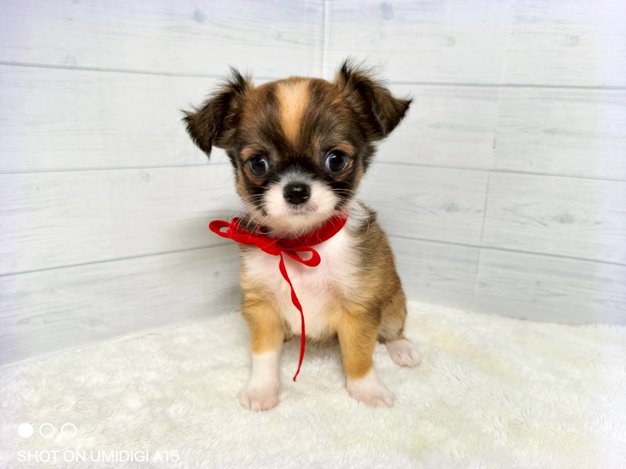 赤ちゃん写真3-1