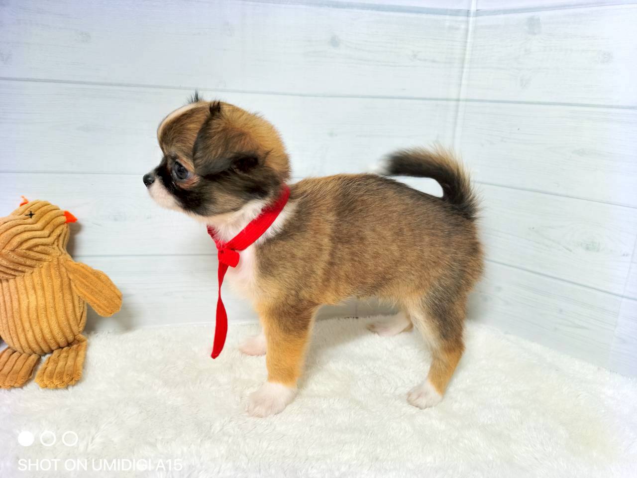 赤ちゃん写真3-2