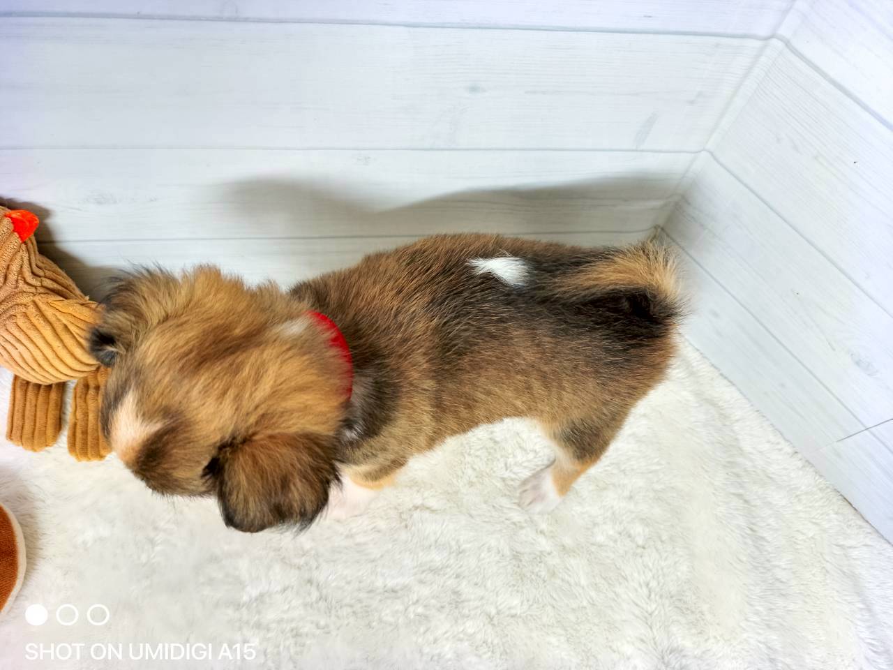 赤ちゃん写真3-3