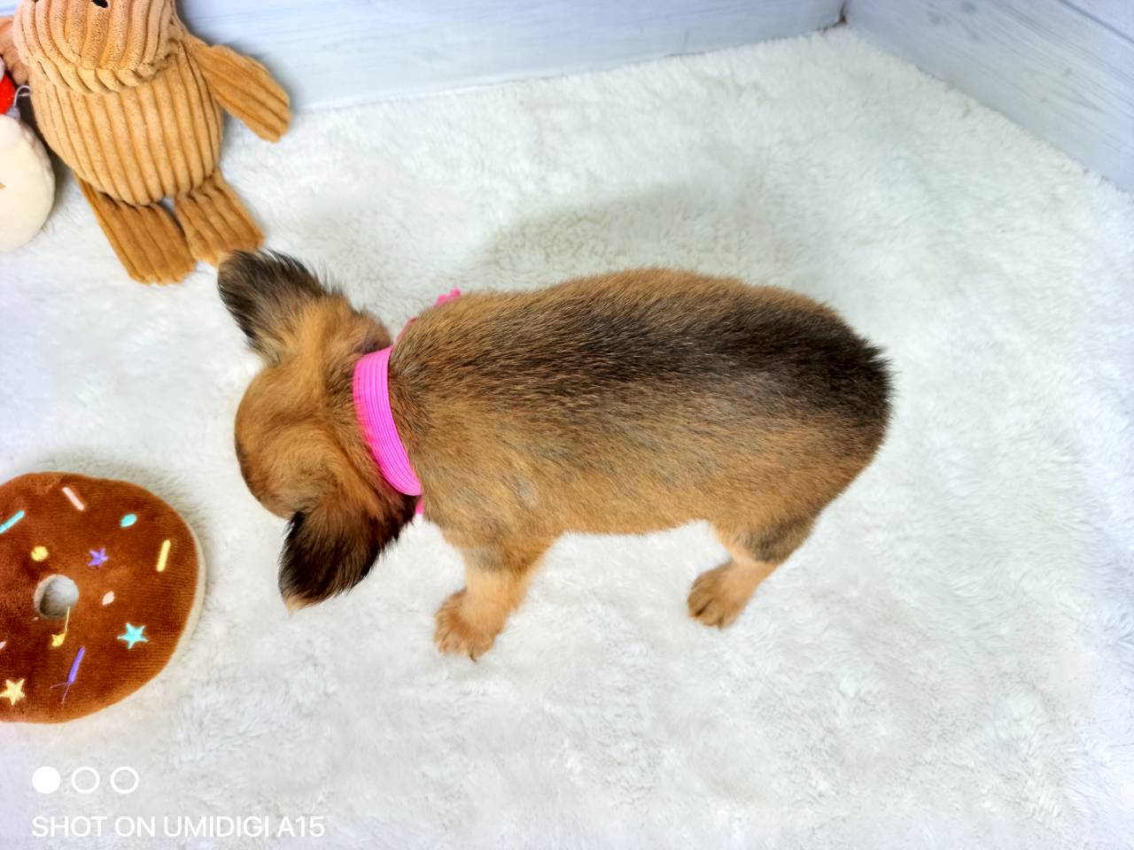 赤ちゃん写真3-3