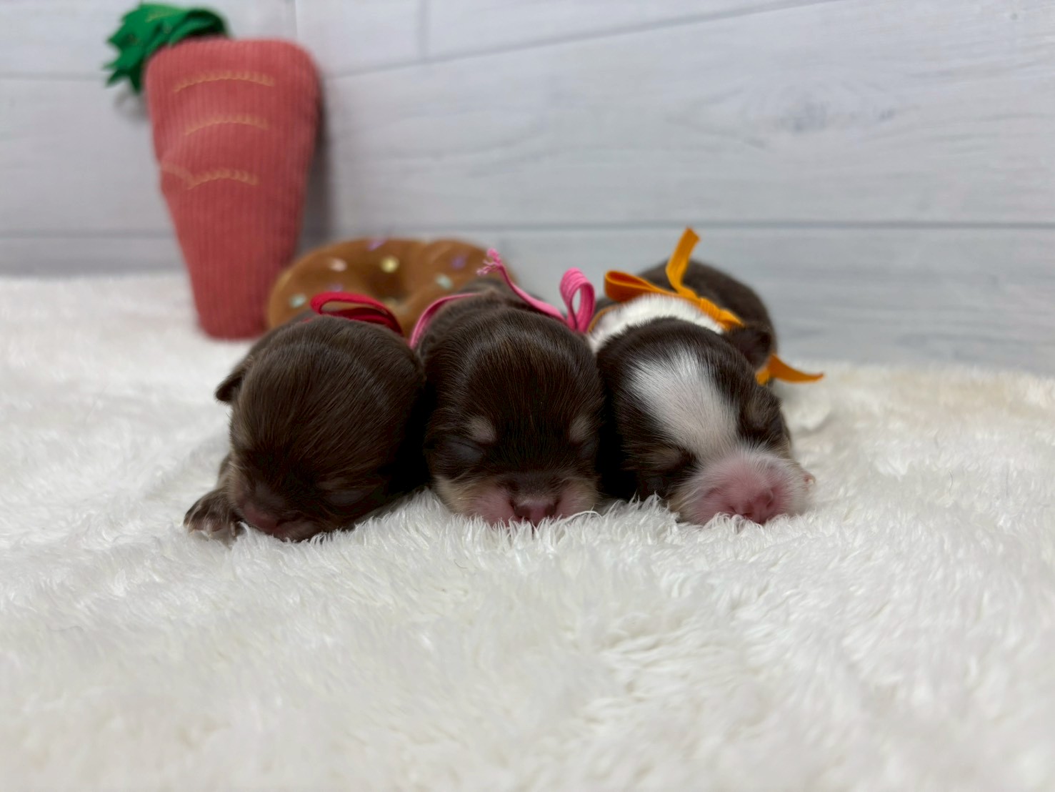 赤ちゃん写真1-3