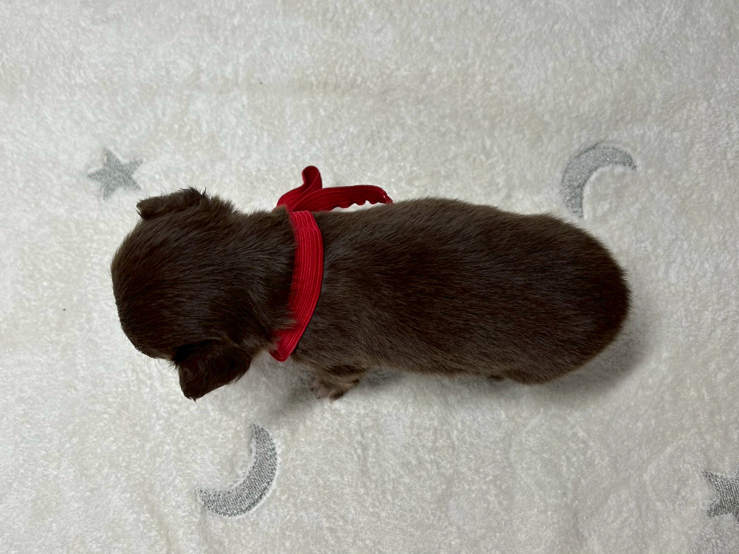 赤ちゃん写真2-3