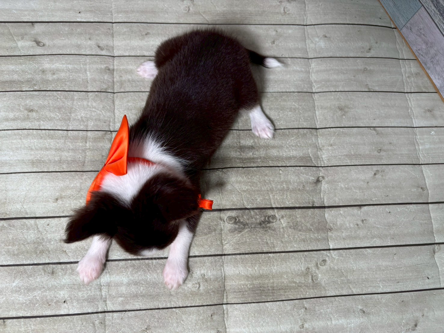 赤ちゃん写真3-3