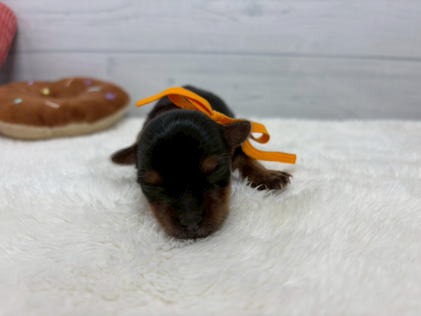 赤ちゃん写真1-1