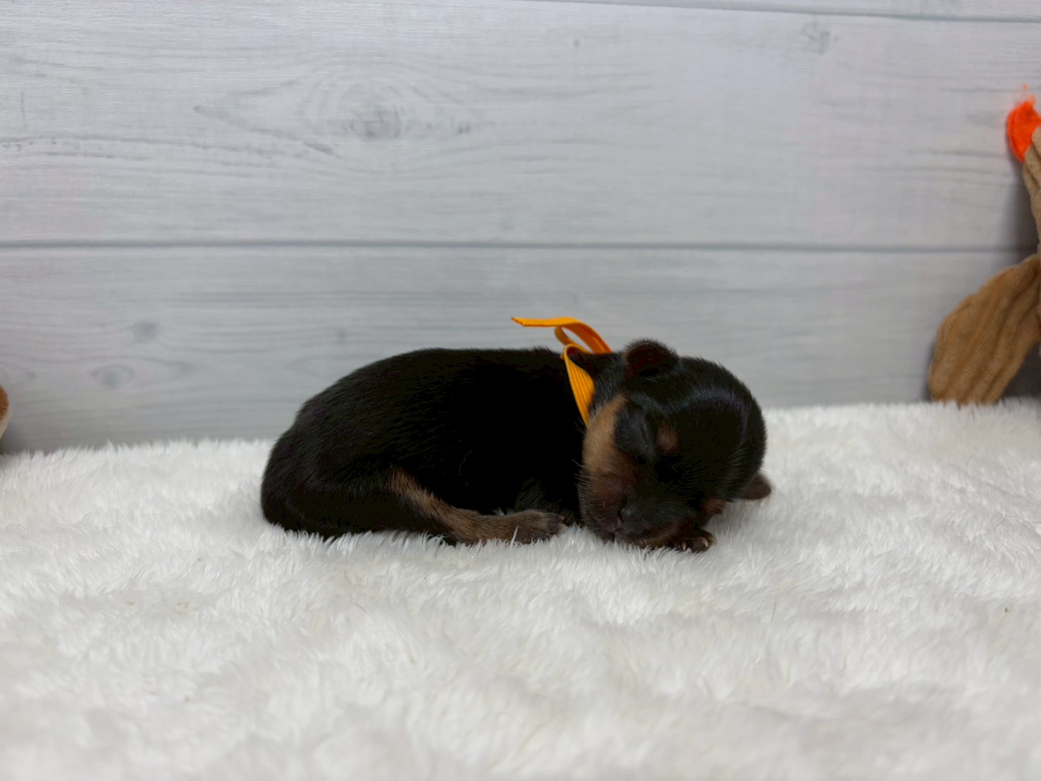 赤ちゃん写真1-2