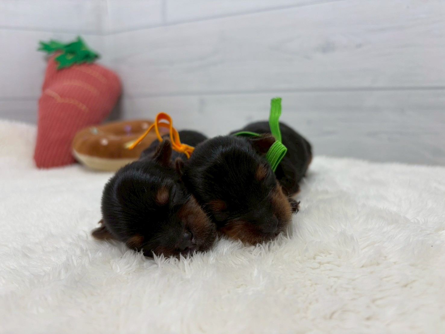 赤ちゃん写真1-3