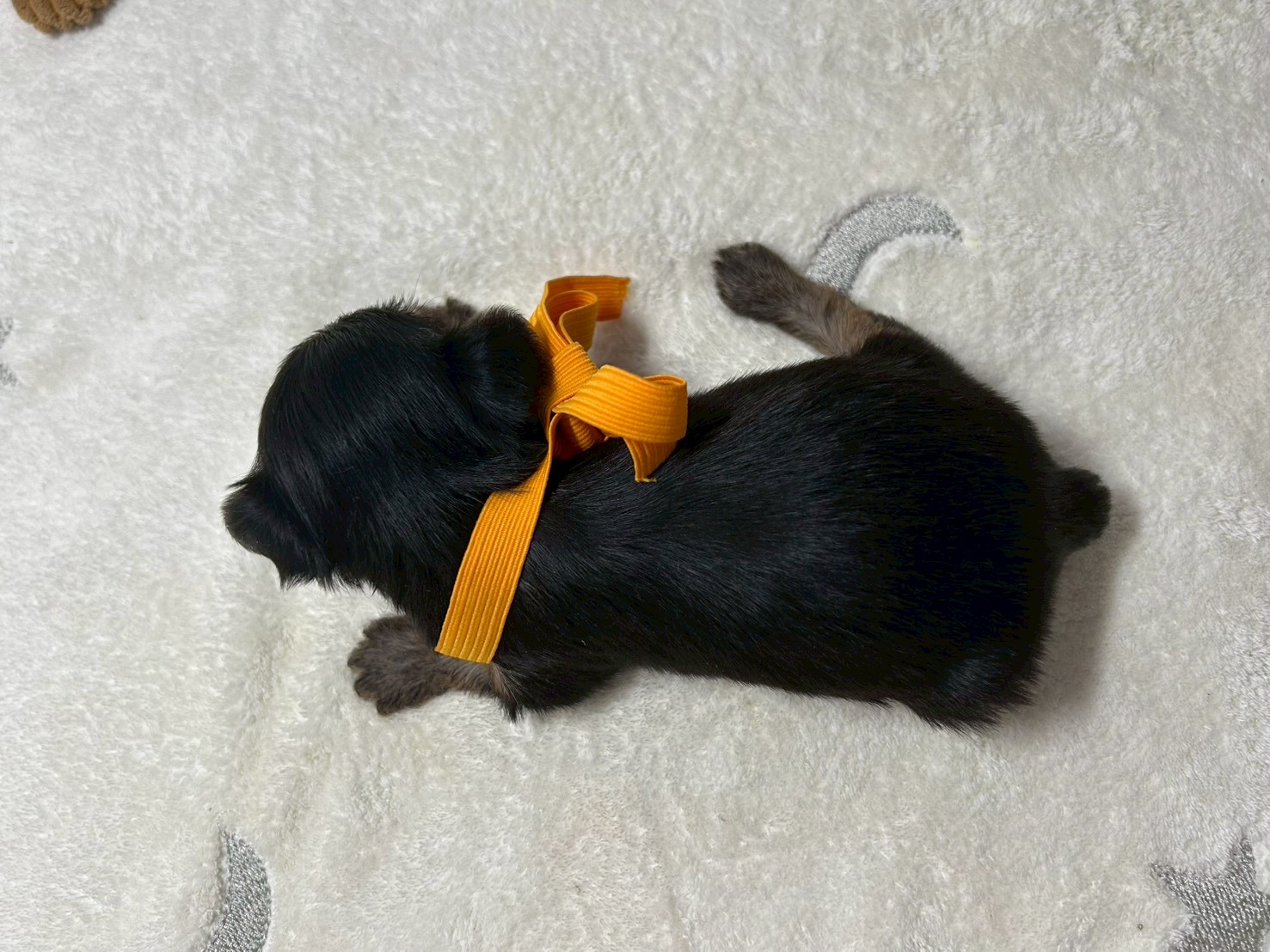赤ちゃん写真2-3