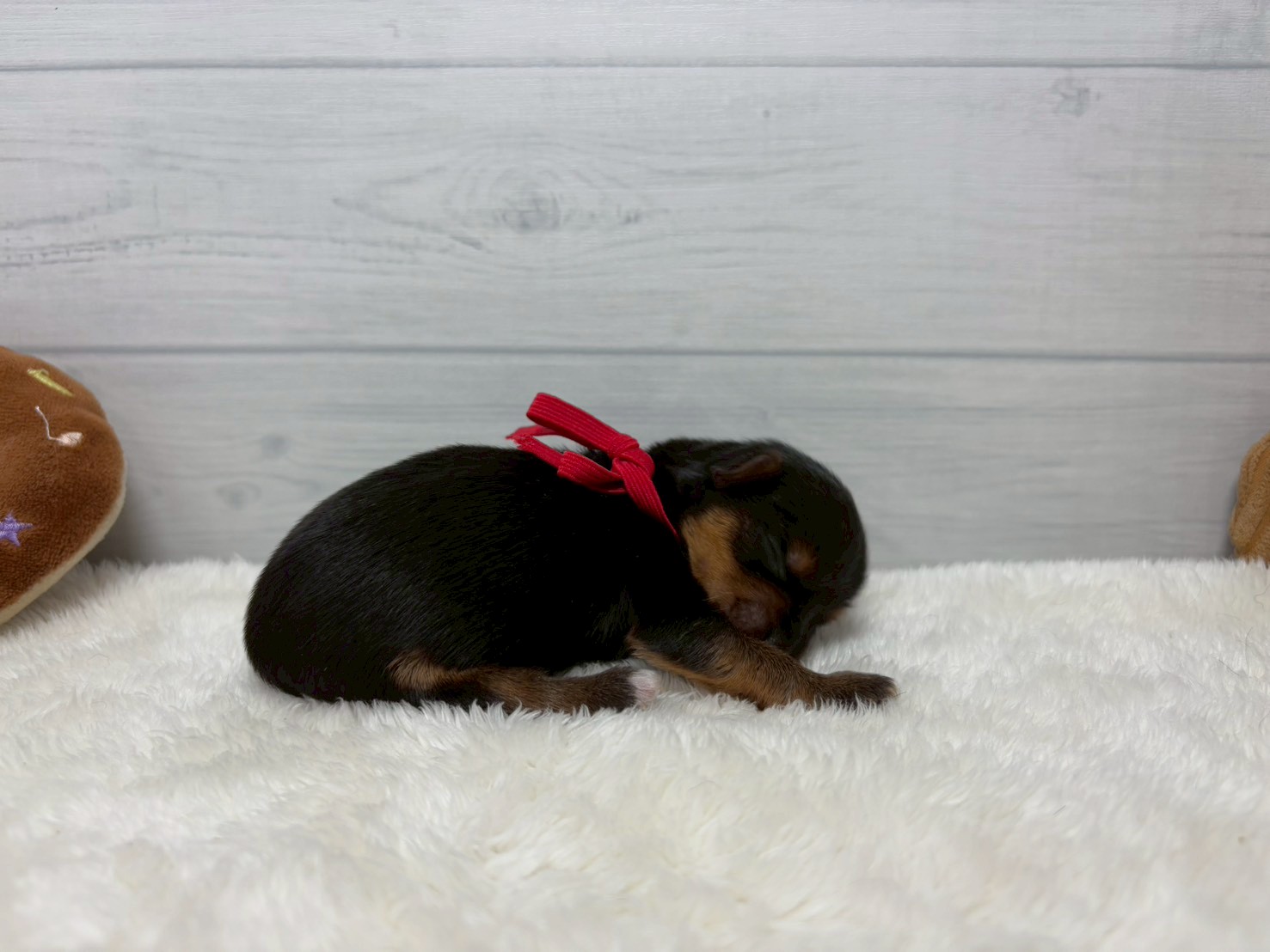 赤ちゃん写真1-2