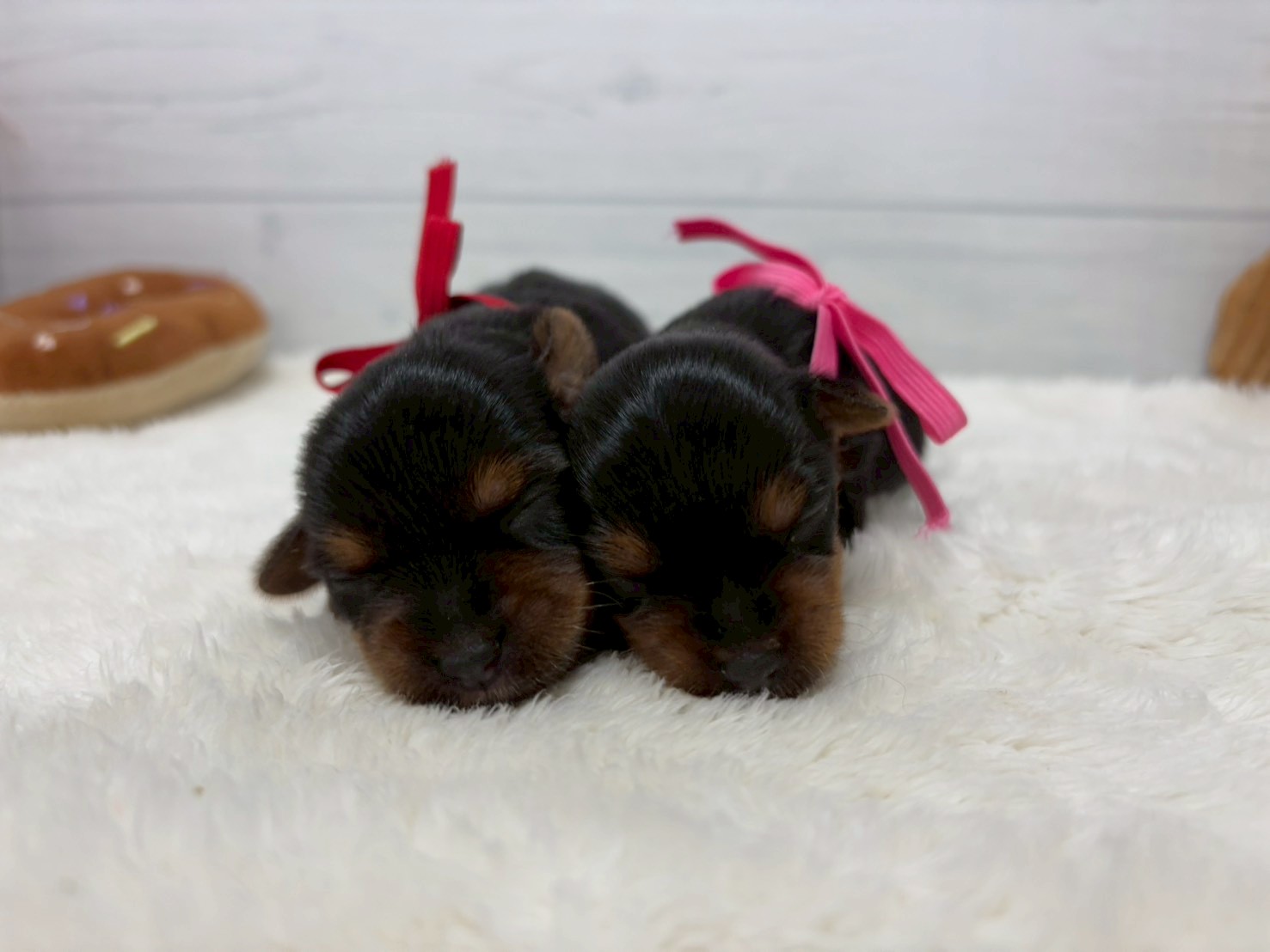 赤ちゃん写真1-3