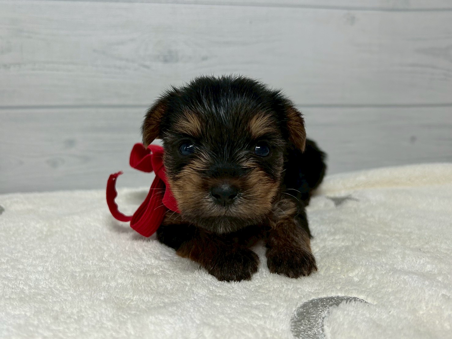 赤ちゃん写真2-1