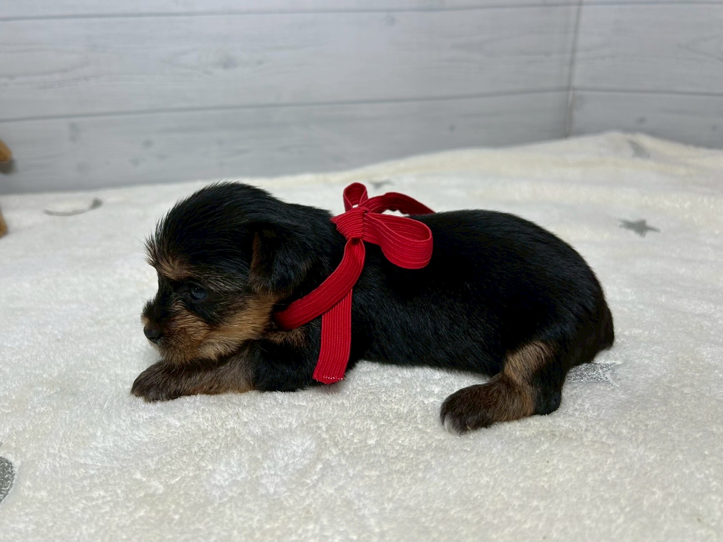 赤ちゃん写真2-2