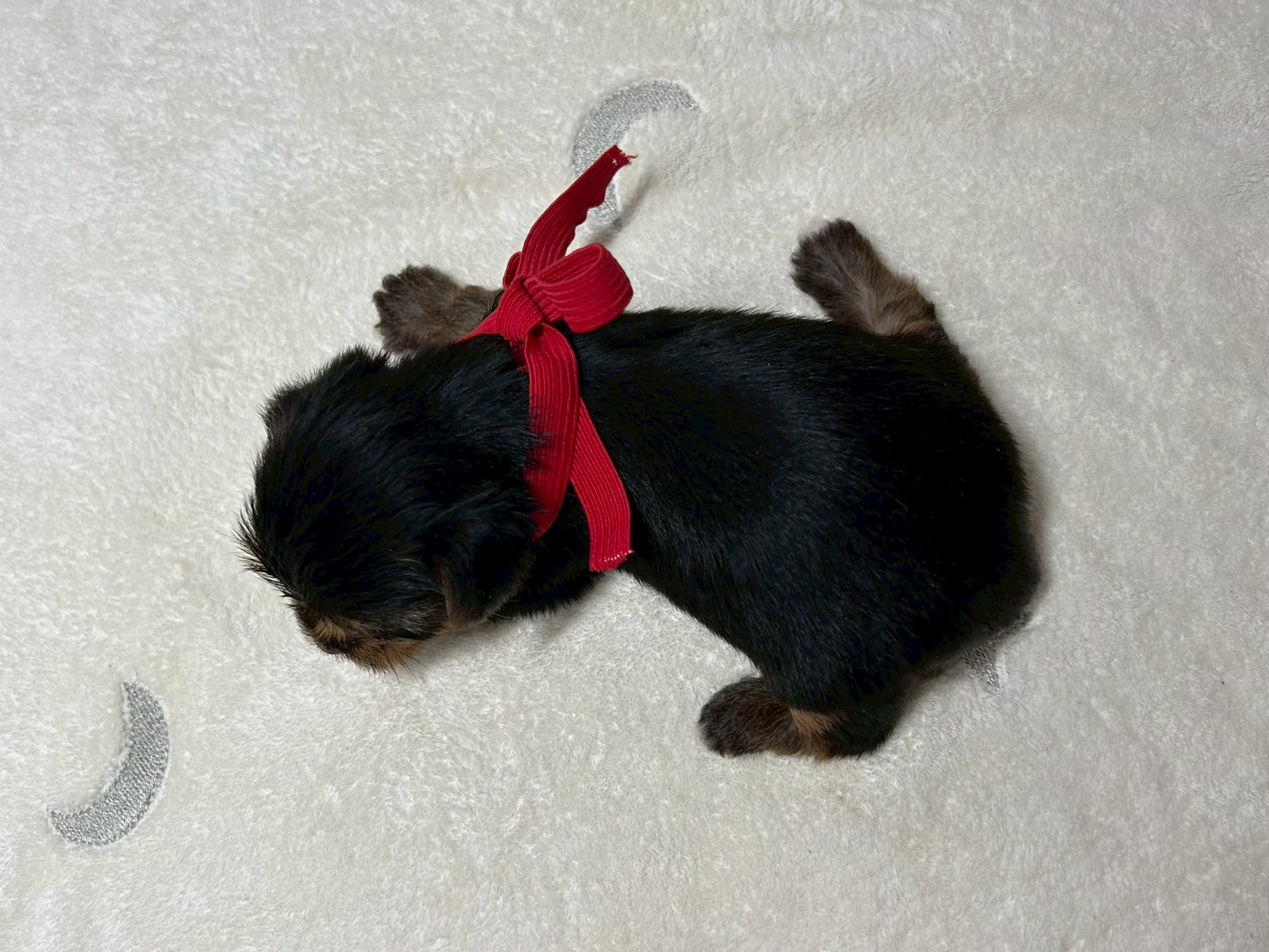 赤ちゃん写真2-3