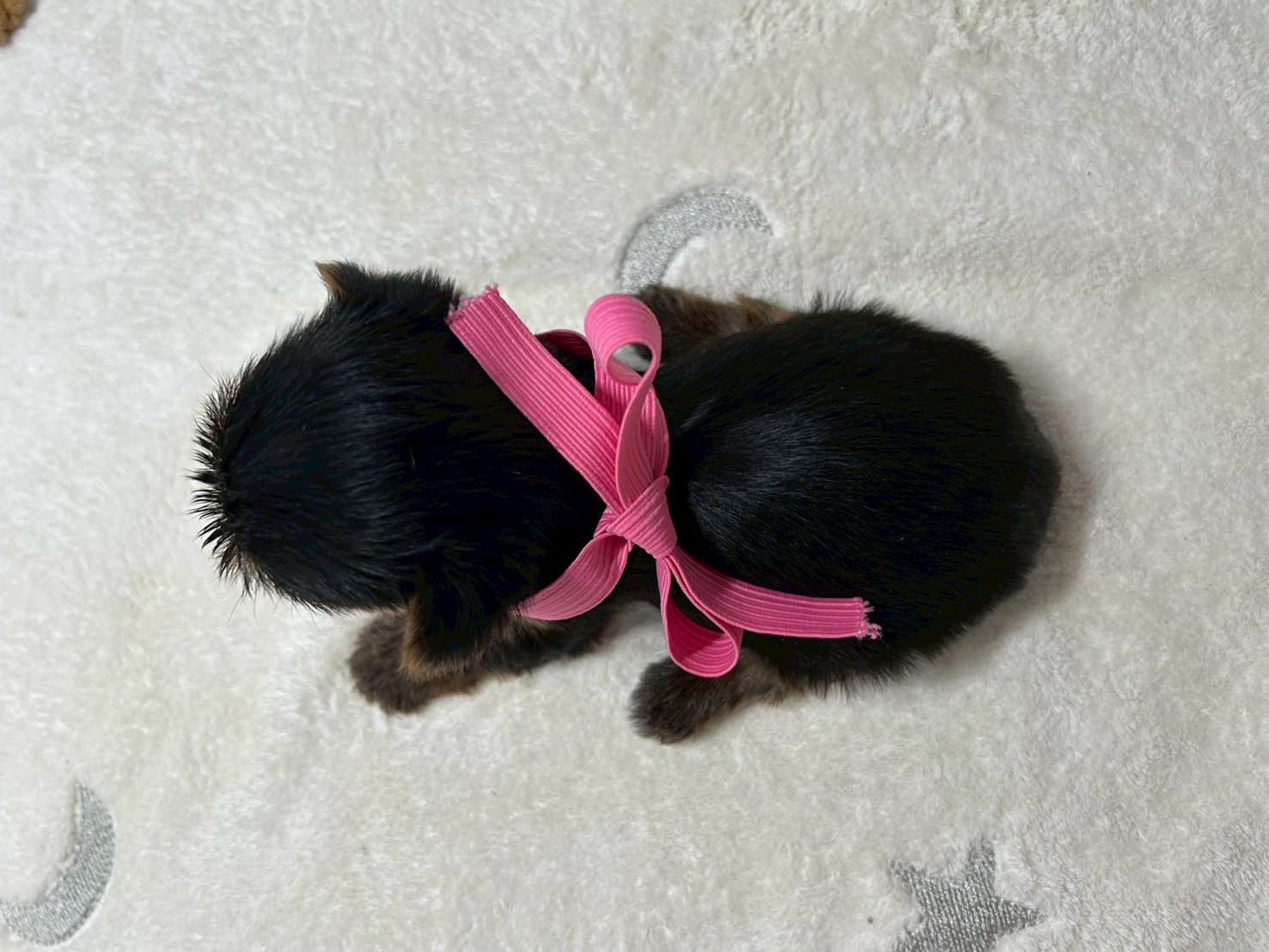 赤ちゃん写真2-3