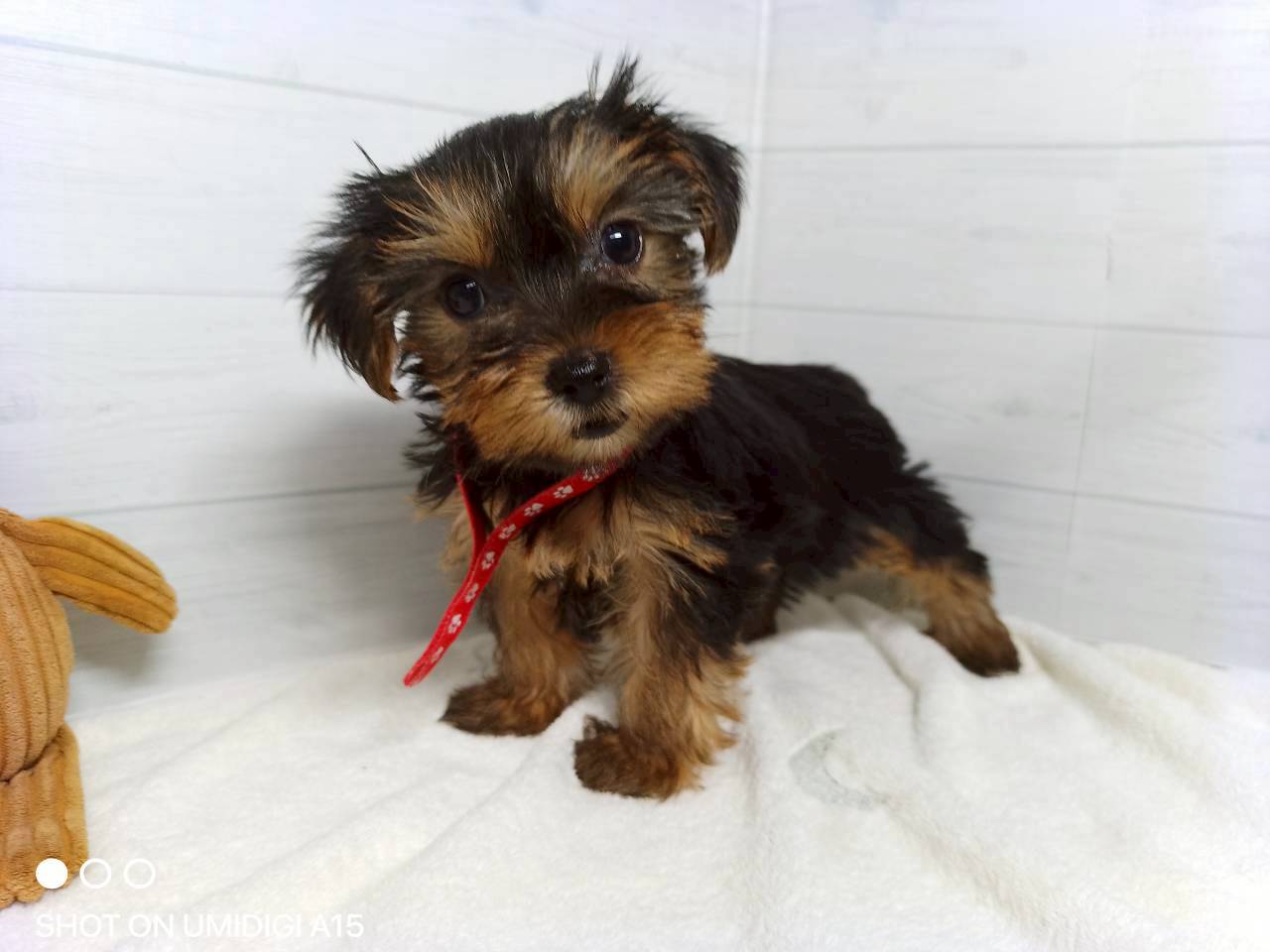 赤ちゃん写真3-1