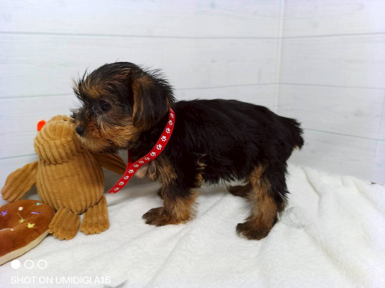 赤ちゃん写真3-2