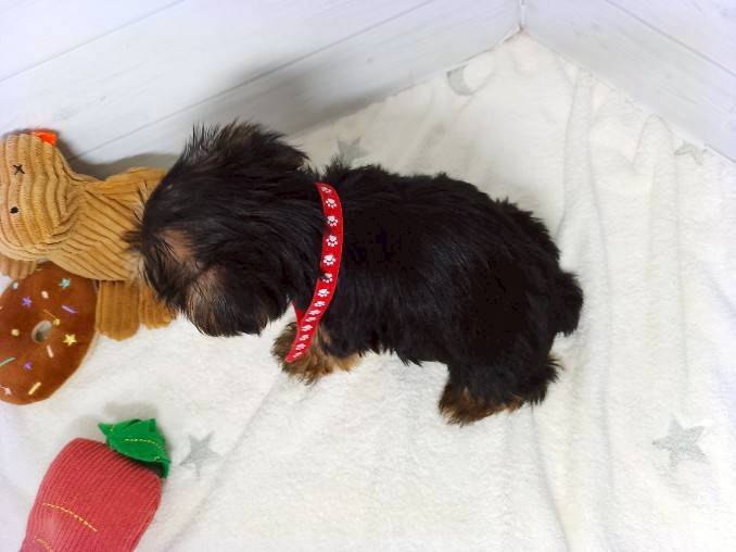 赤ちゃん写真3-3