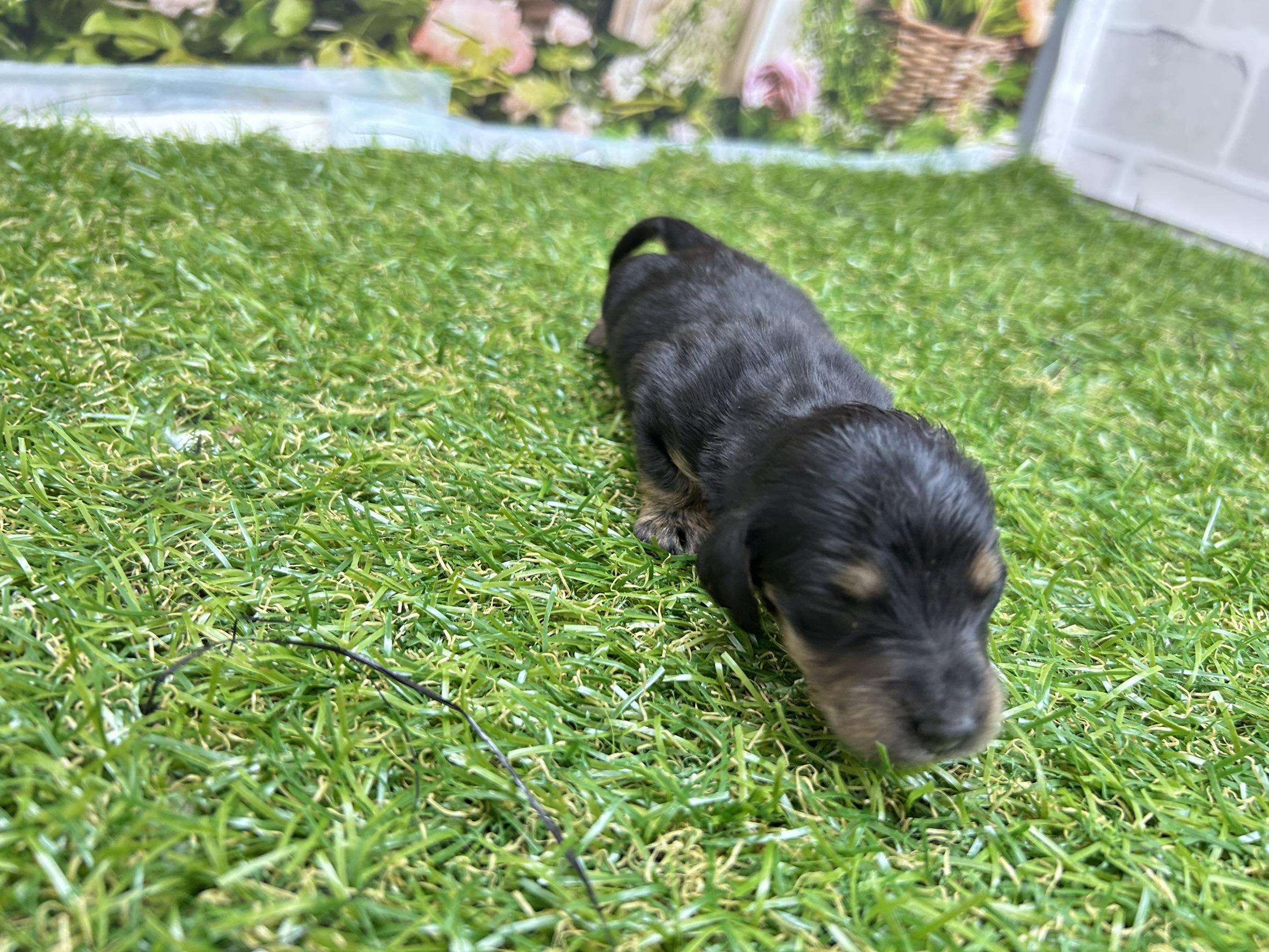 赤ちゃん写真1-2
