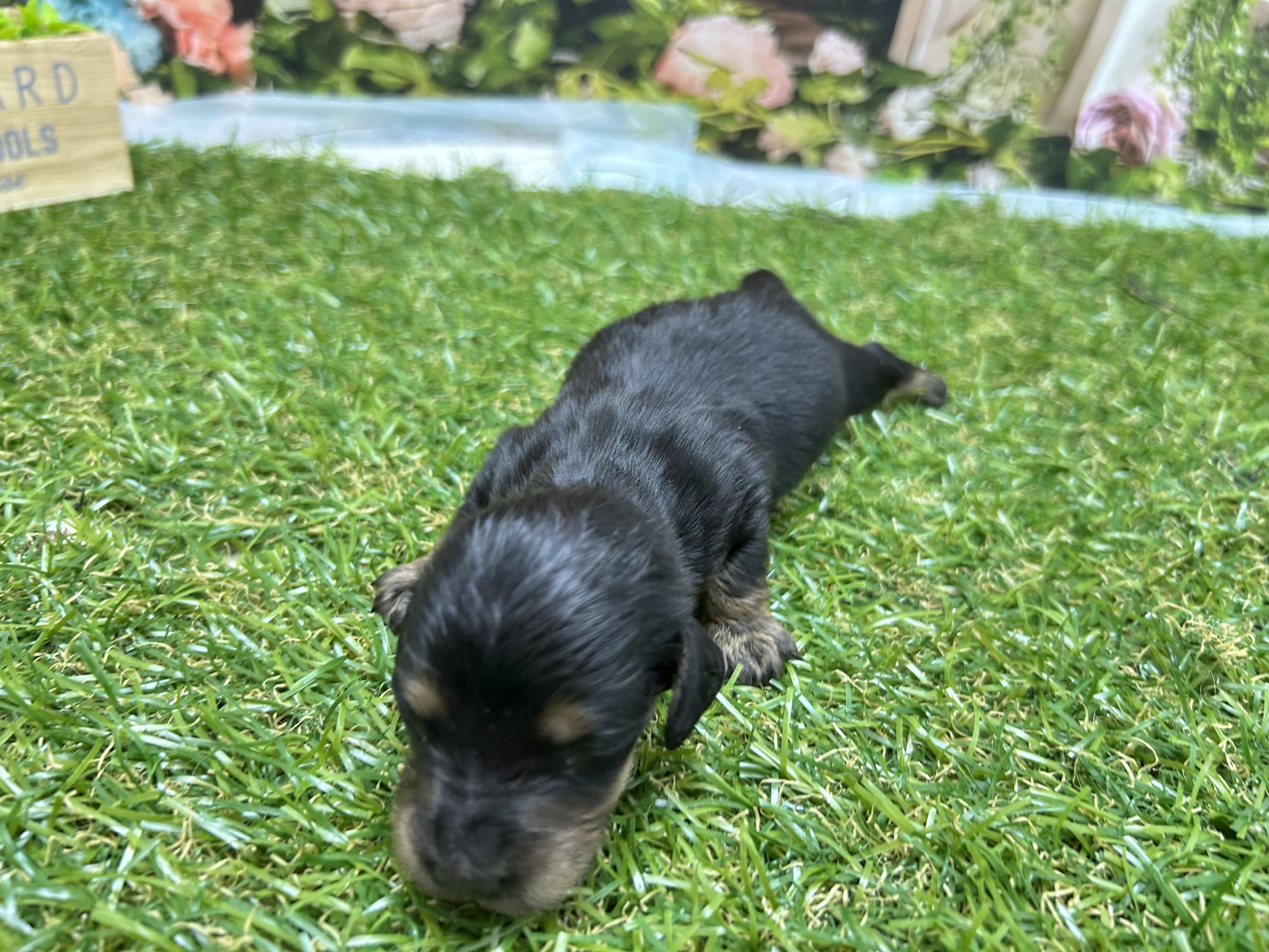 赤ちゃん写真1-3