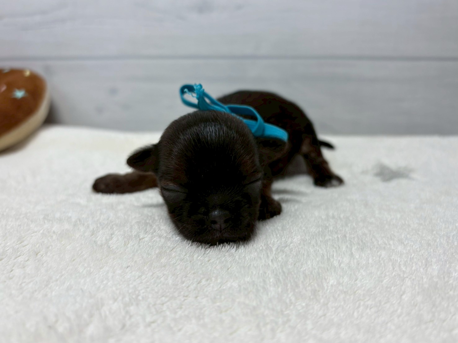 赤ちゃん写真1-1