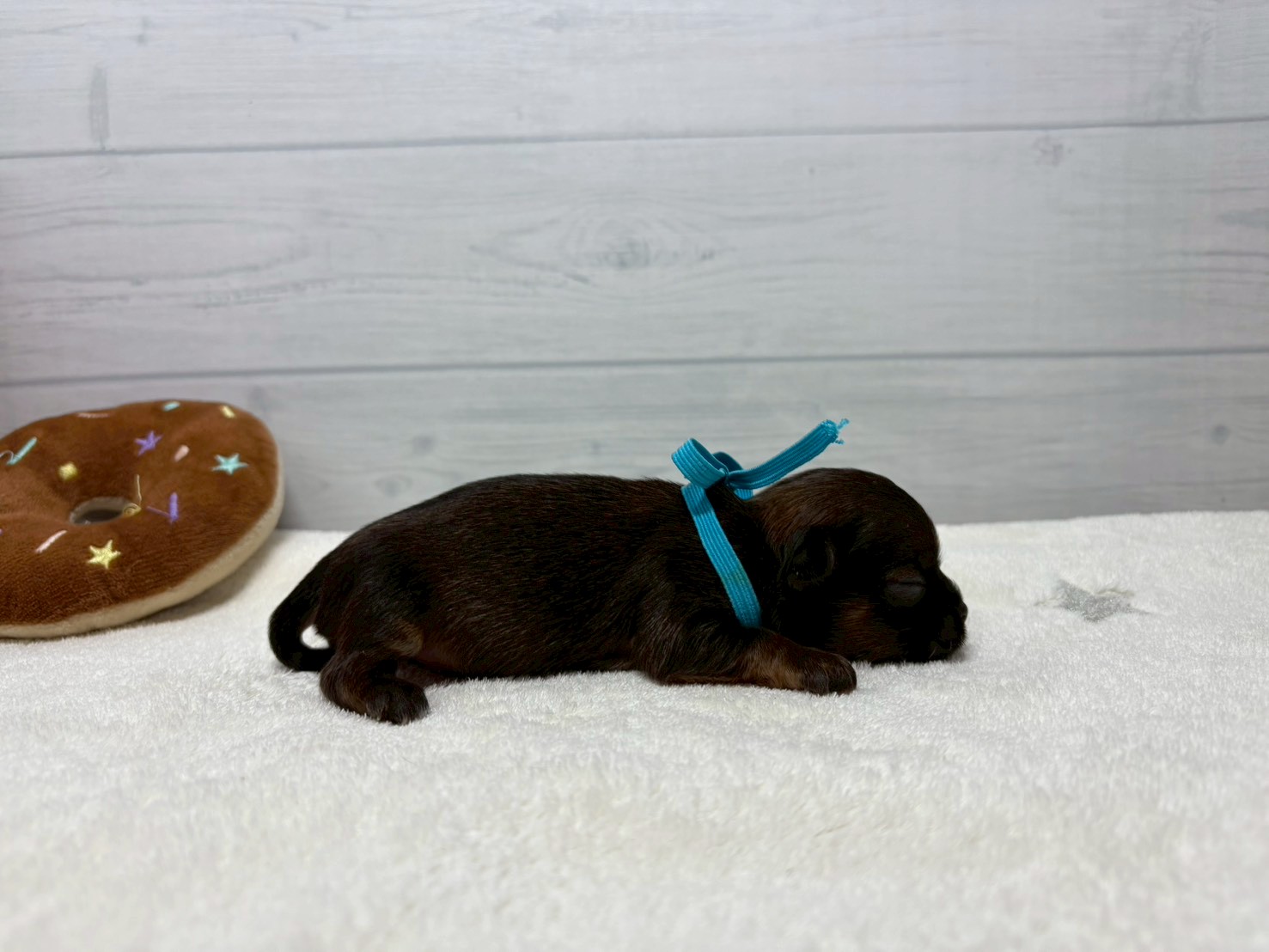 赤ちゃん写真1-2