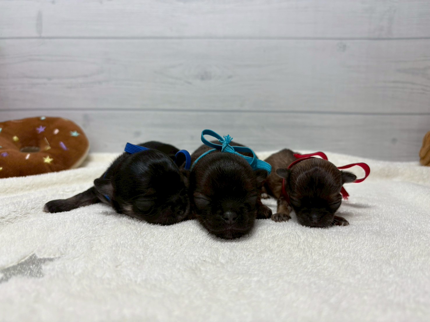 赤ちゃん写真1-3