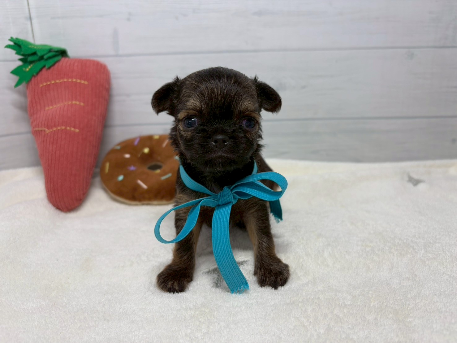 赤ちゃん写真2-1