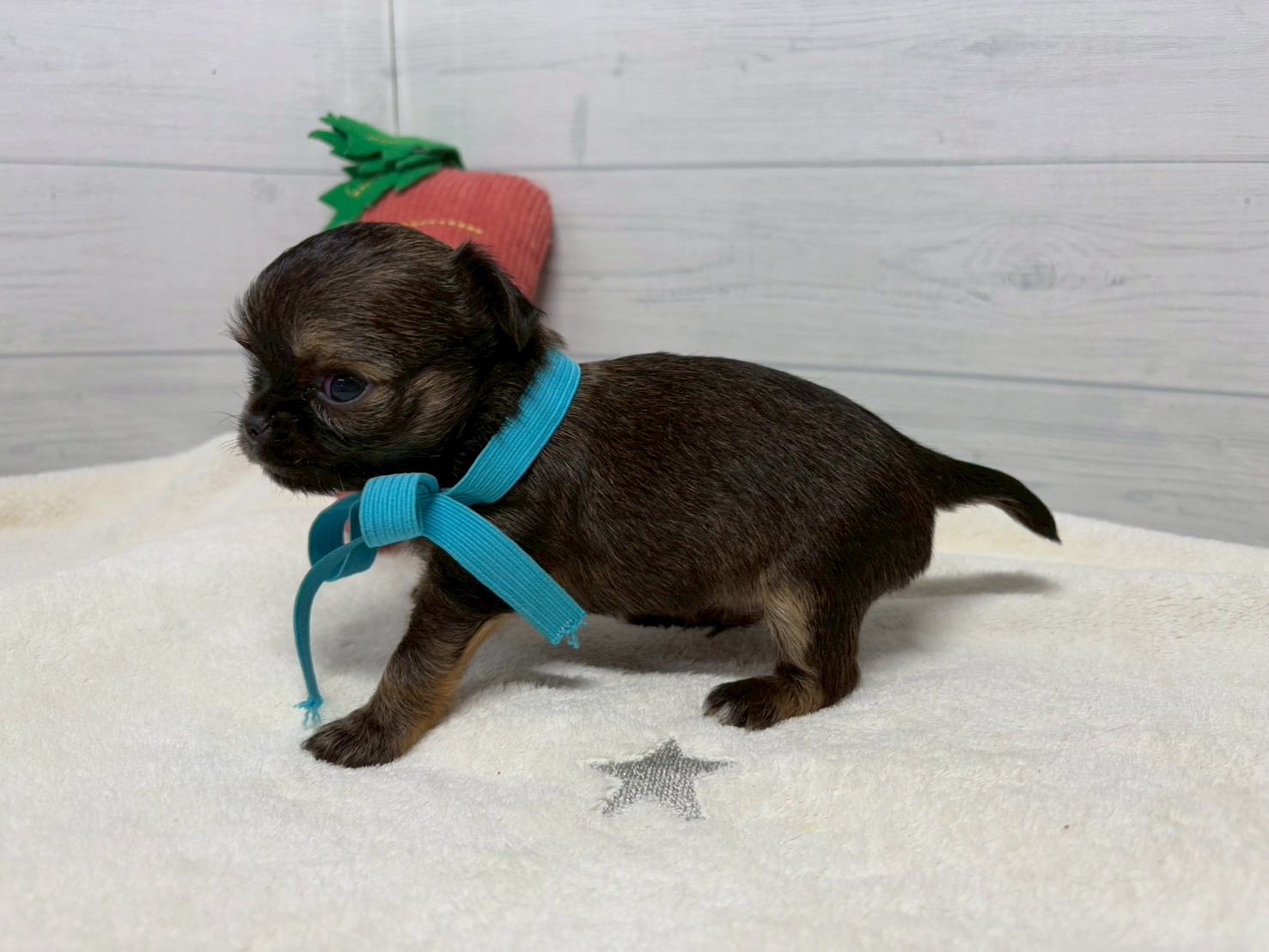 赤ちゃん写真2-2