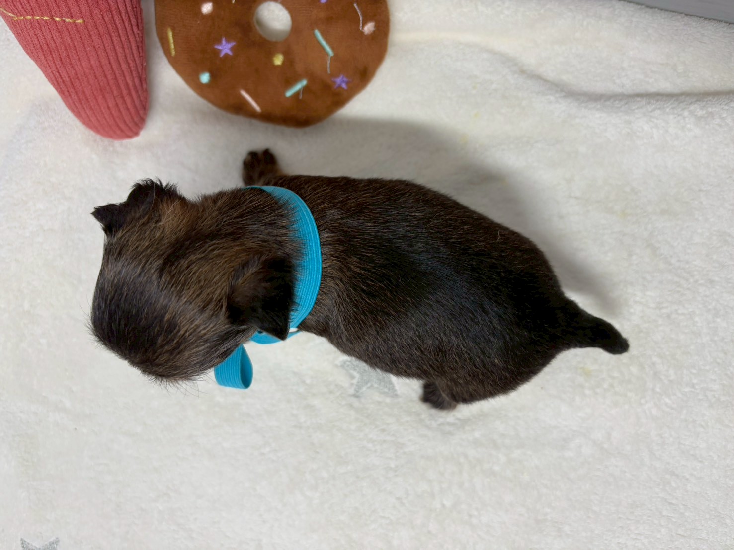 赤ちゃん写真2-3