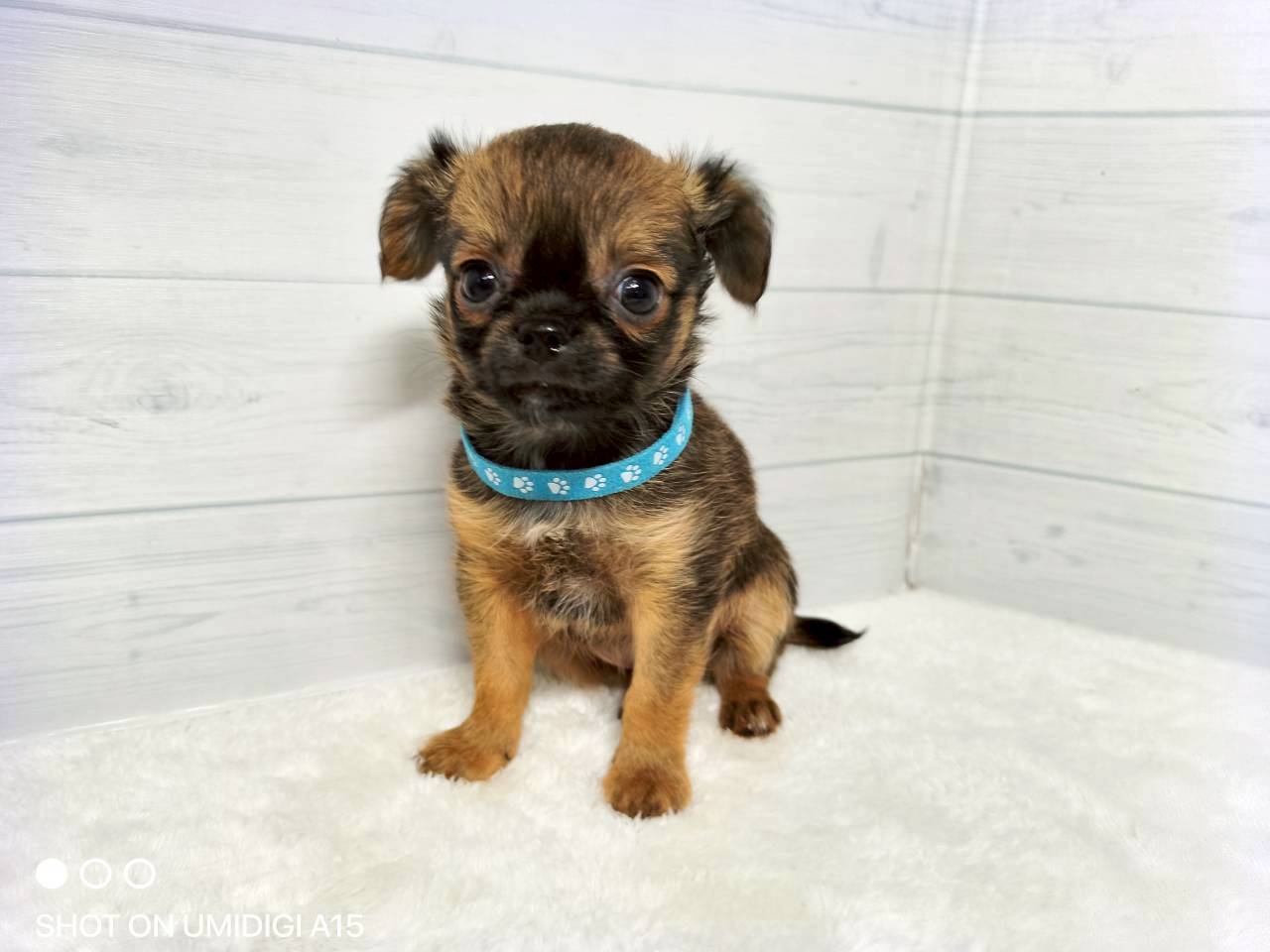 赤ちゃん写真3-1