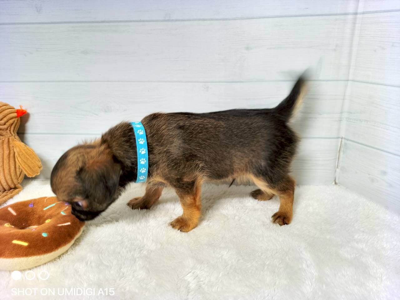 赤ちゃん写真3-2