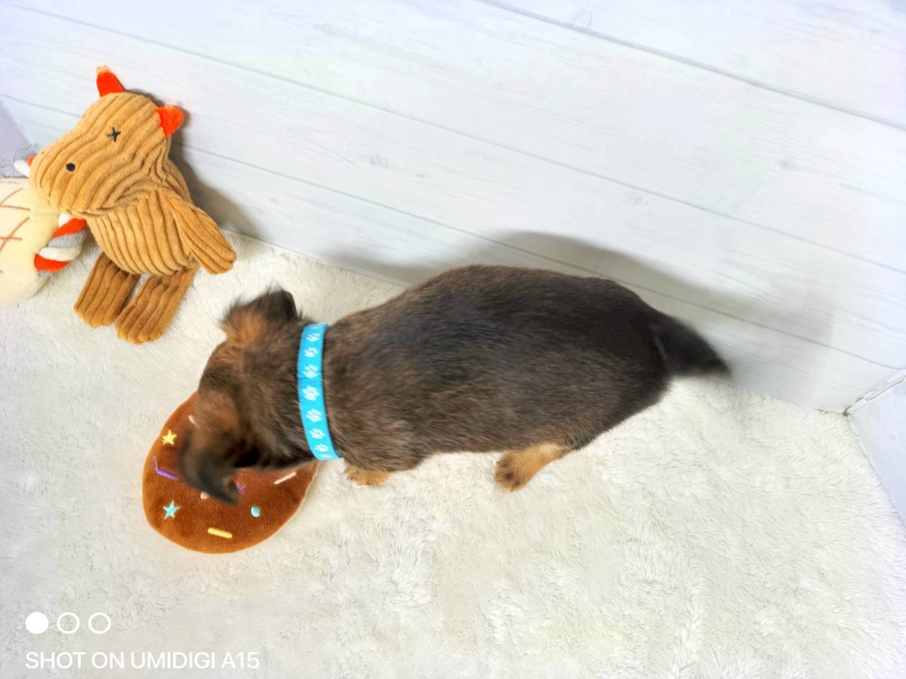 赤ちゃん写真3-3