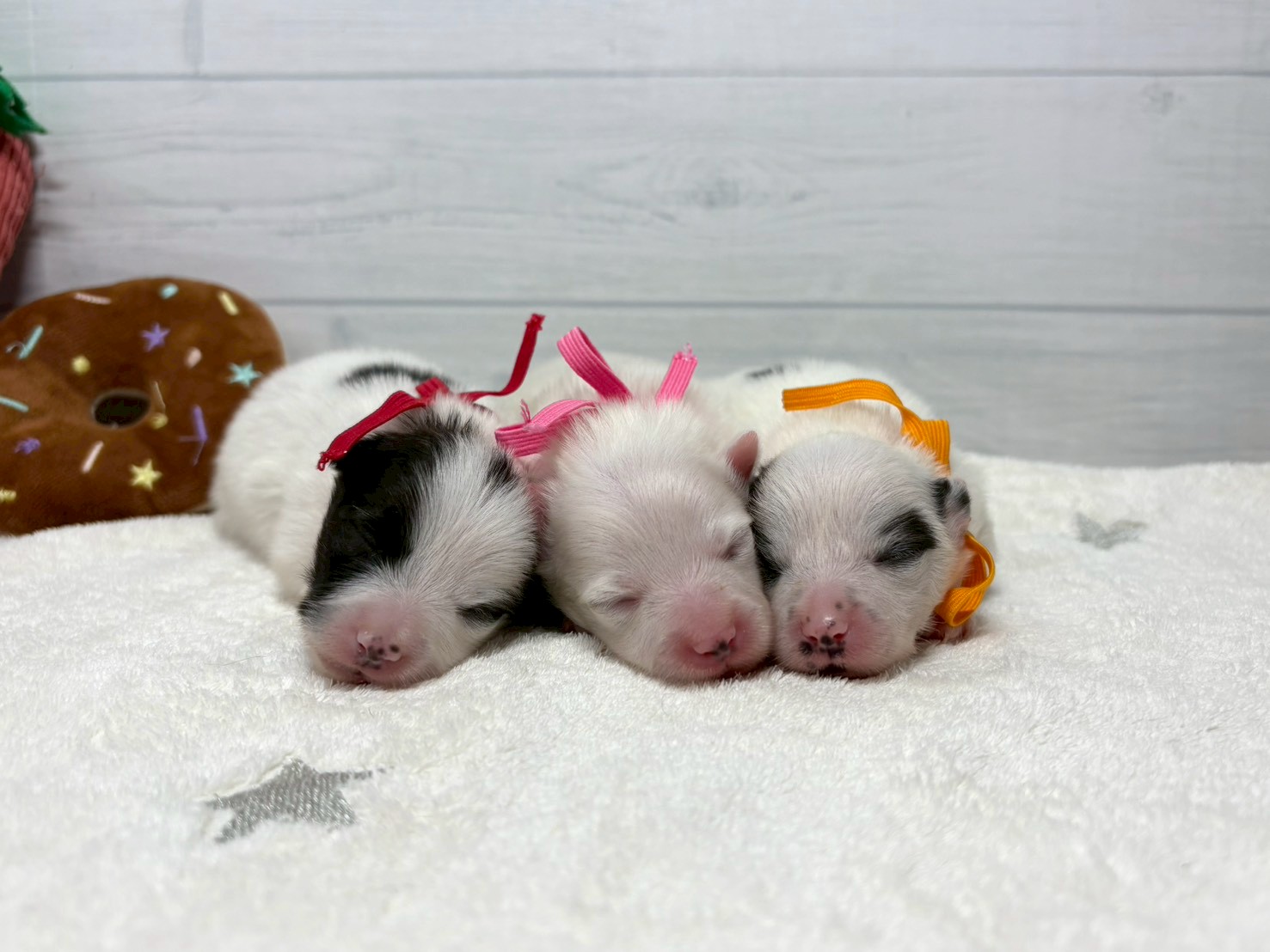 赤ちゃん写真1-3