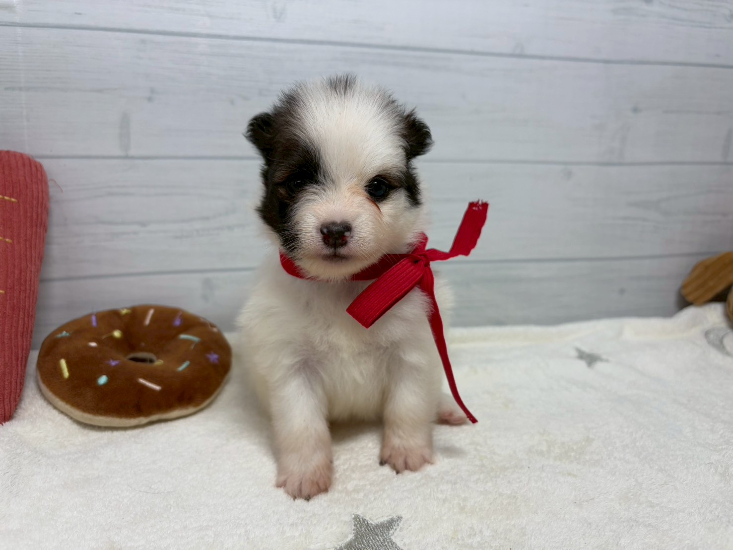 赤ちゃん写真2-1