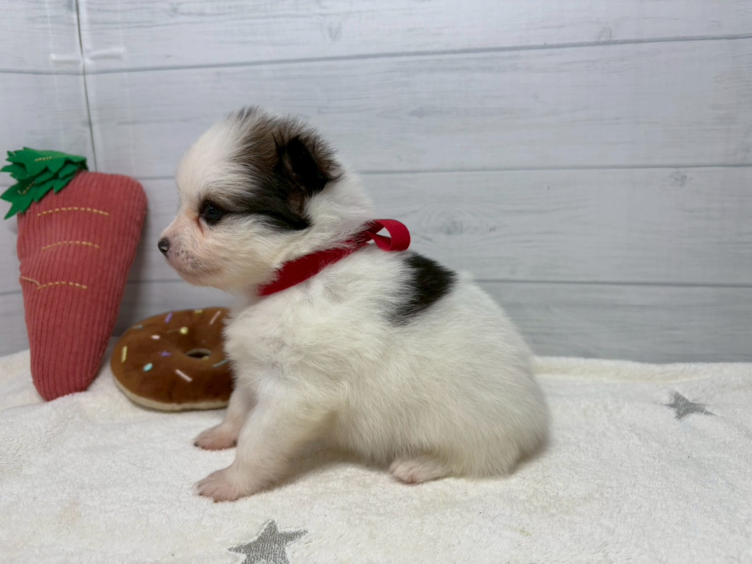 赤ちゃん写真2-2