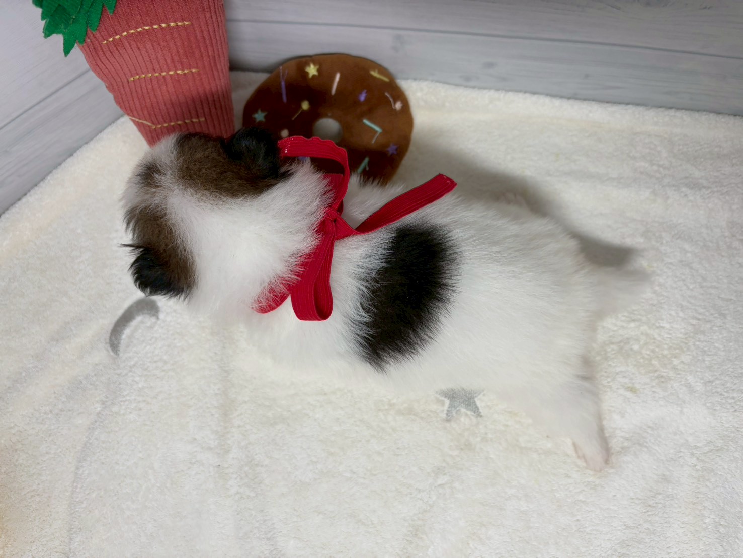 赤ちゃん写真2-3