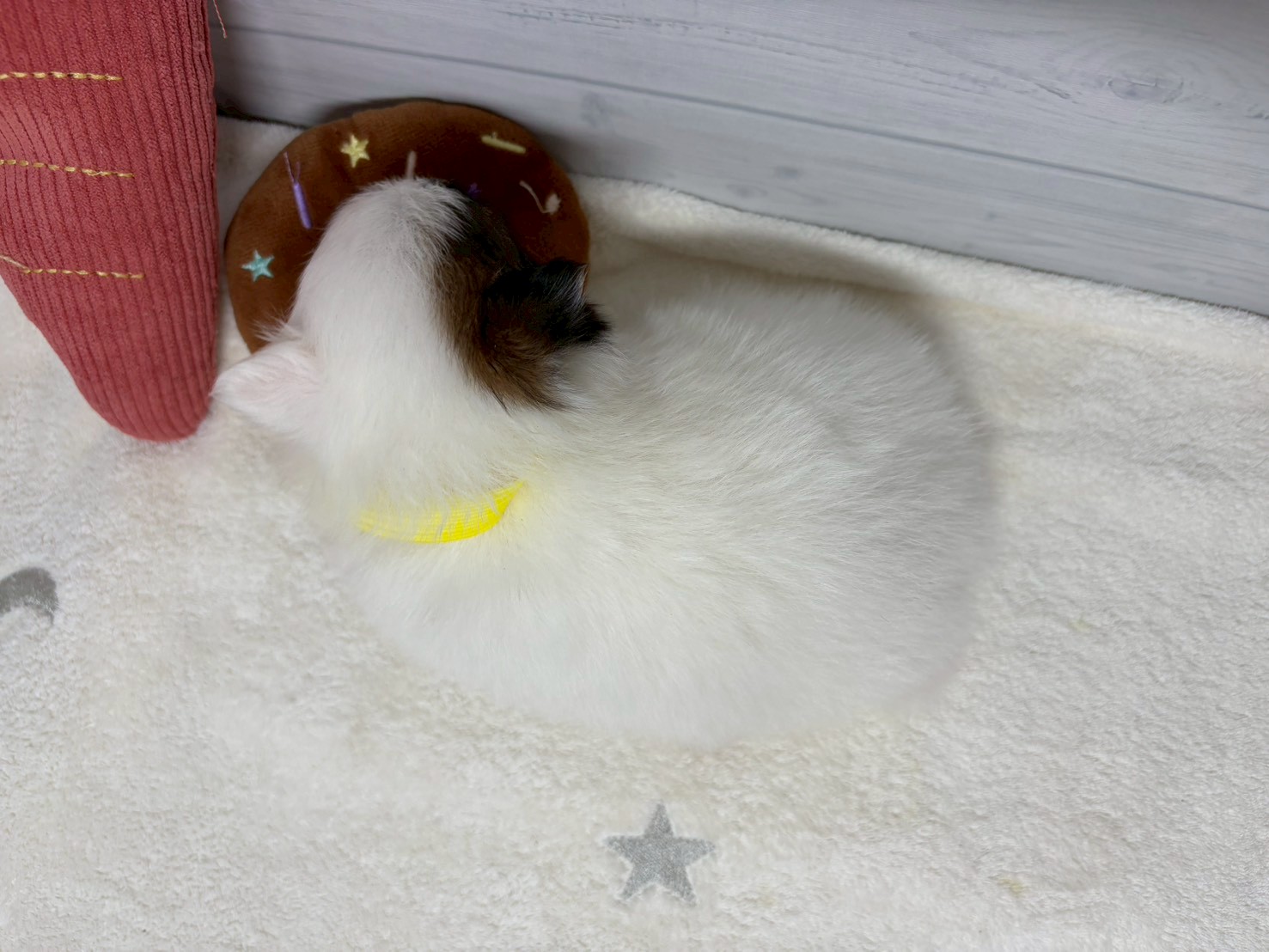 赤ちゃん写真2-3