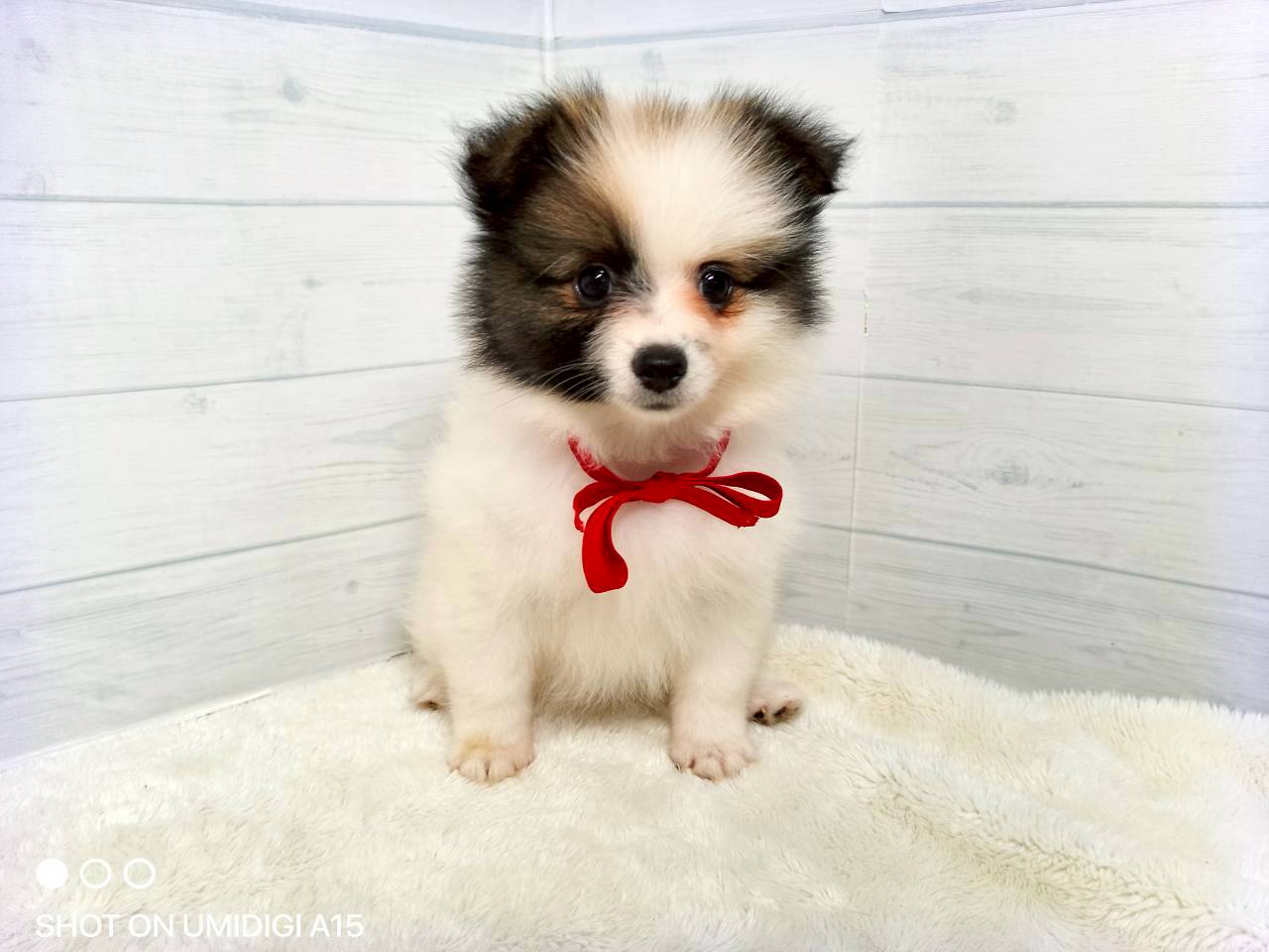 赤ちゃん写真3-1