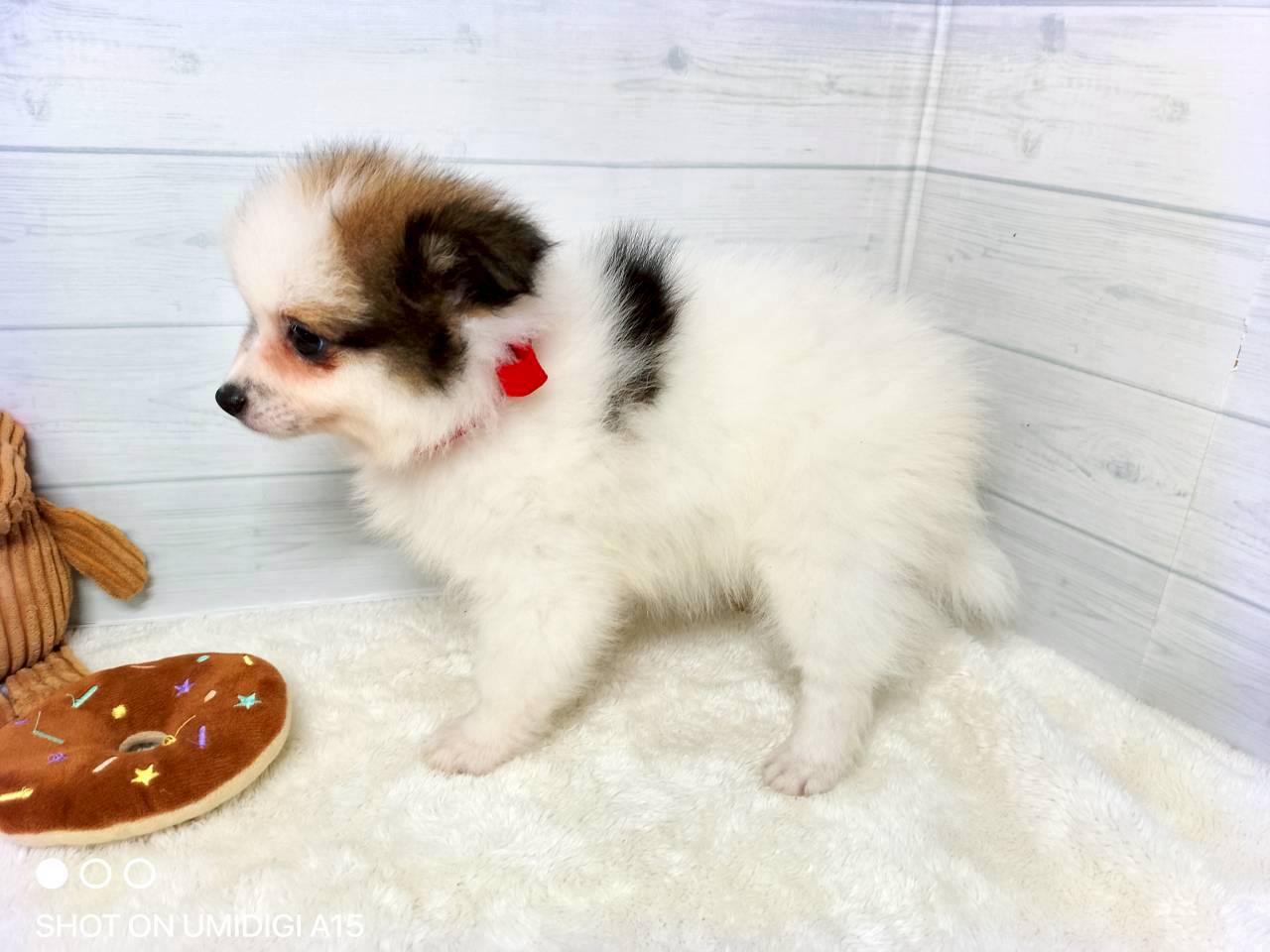 赤ちゃん写真3-2