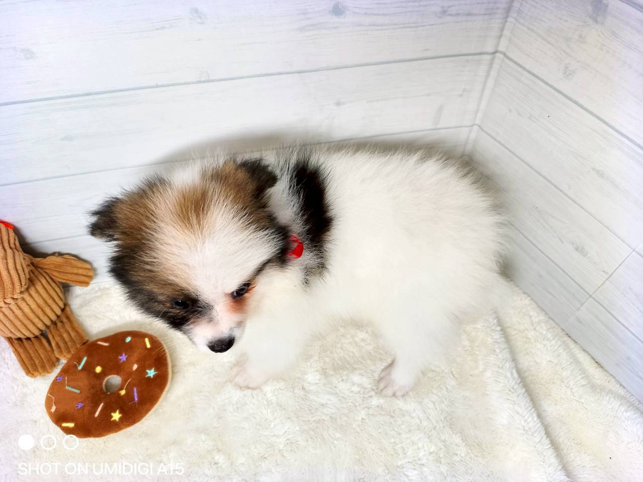 赤ちゃん写真3-3