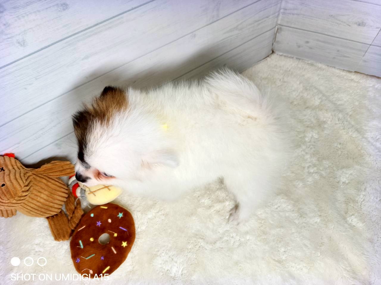 赤ちゃん写真3-3